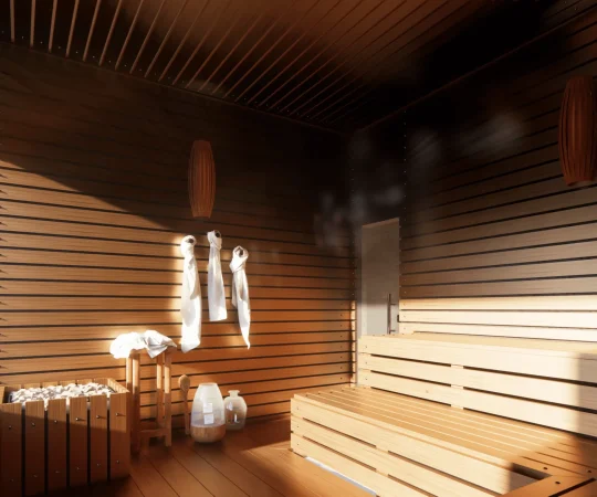 SAUNA_2_6_11zon